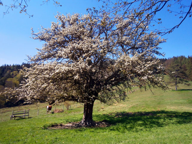 P4300021