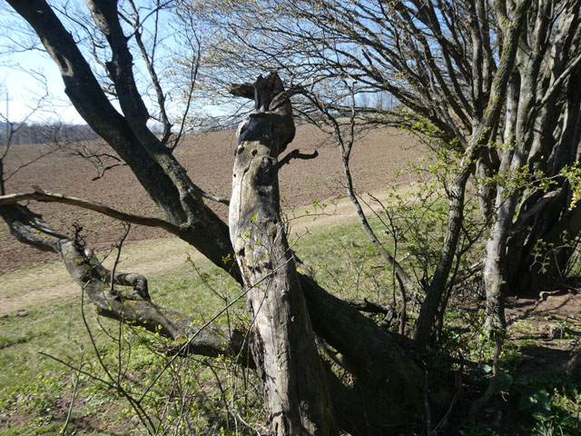 P1004293
