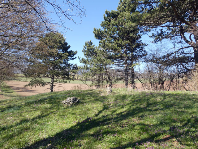 P1004300