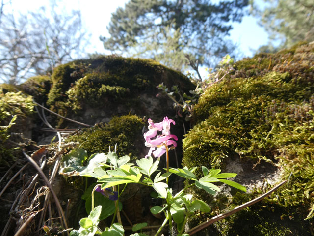 P1004327