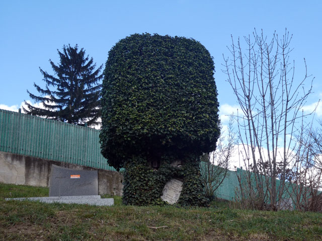 P1010142