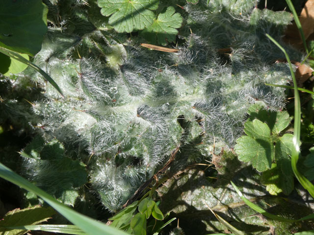 P1010154