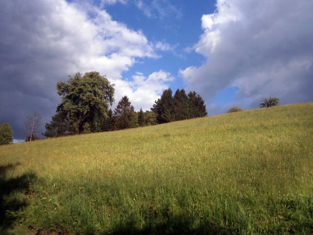 P5100002