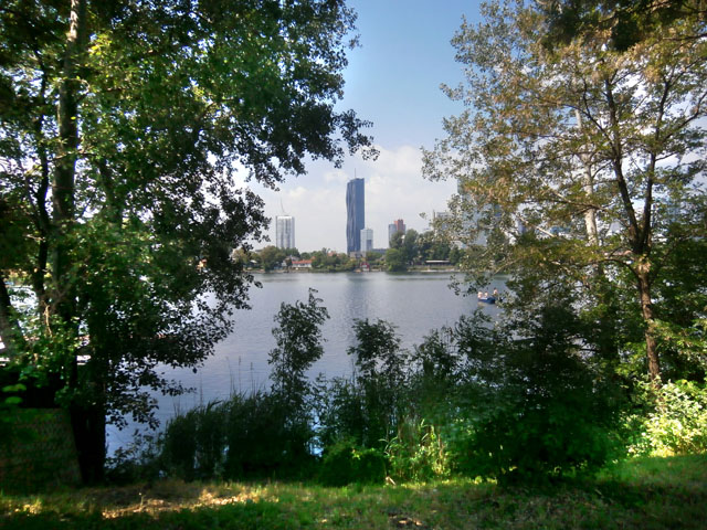 P5290019