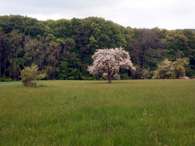 P5010008