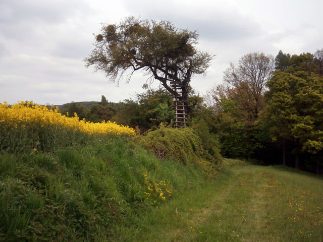 P5010032