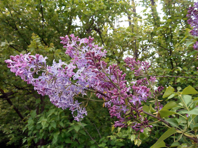 P5010054