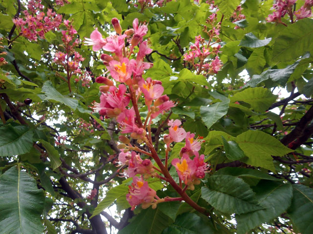 P5070033