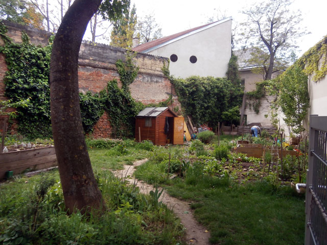 P5070045
