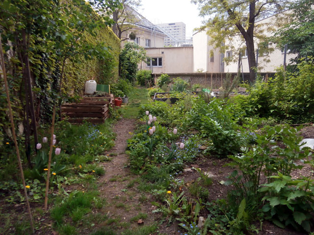 P5070048
