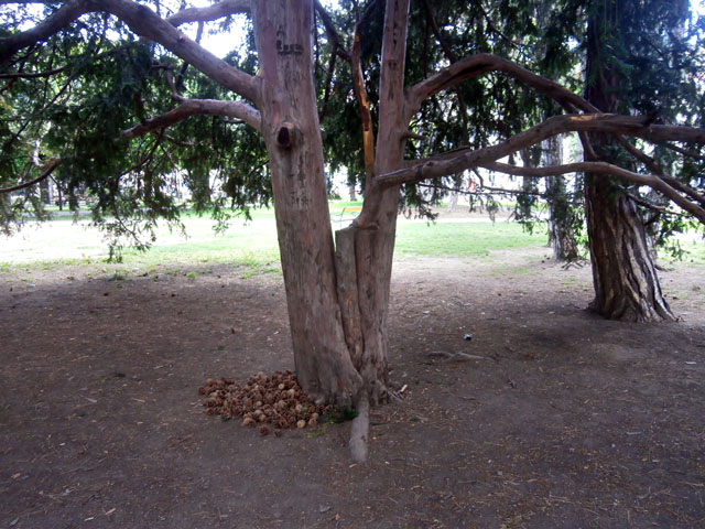 P5070058