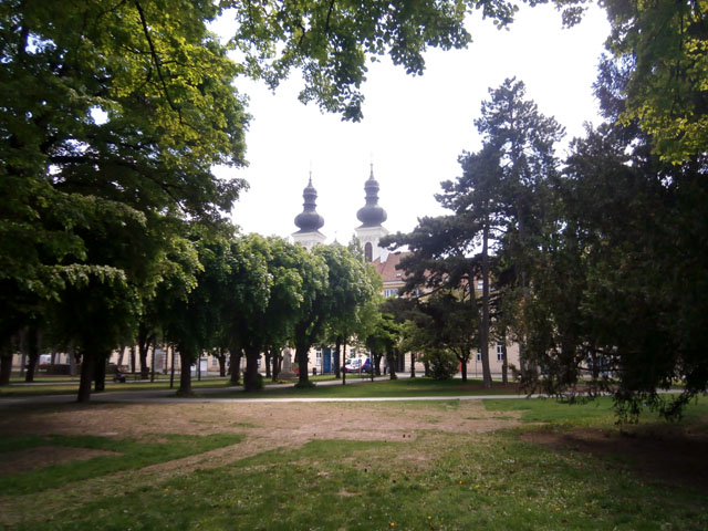 P5070060