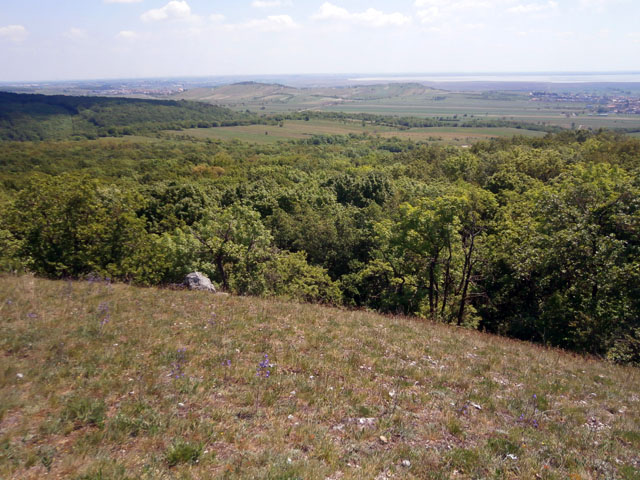 P5140033