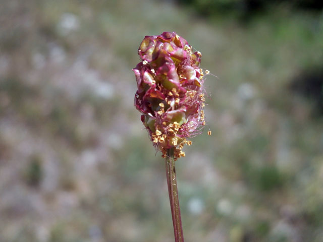 P5140043