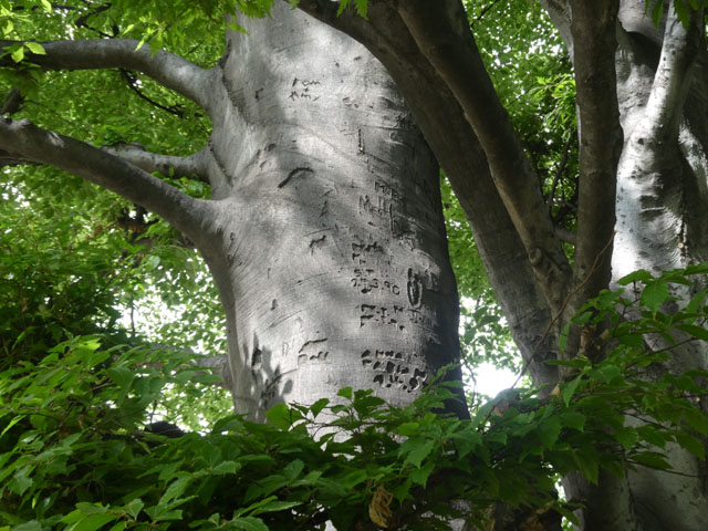 P1005092