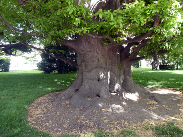 P1005095