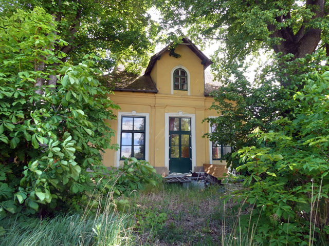 P1005226
