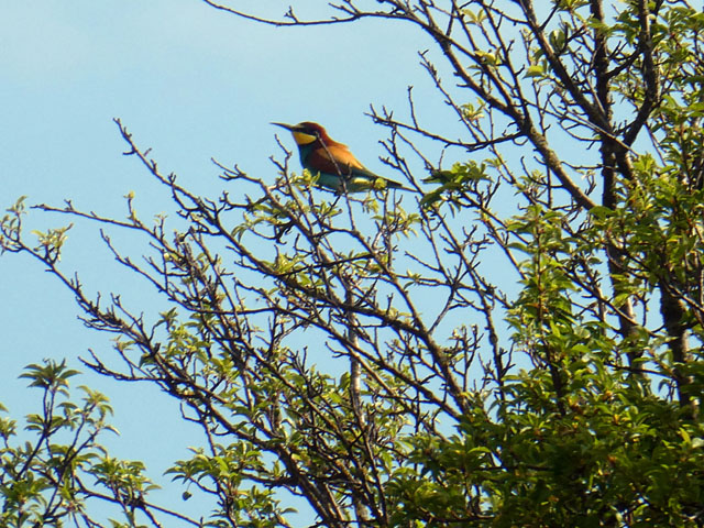 P1005305_k