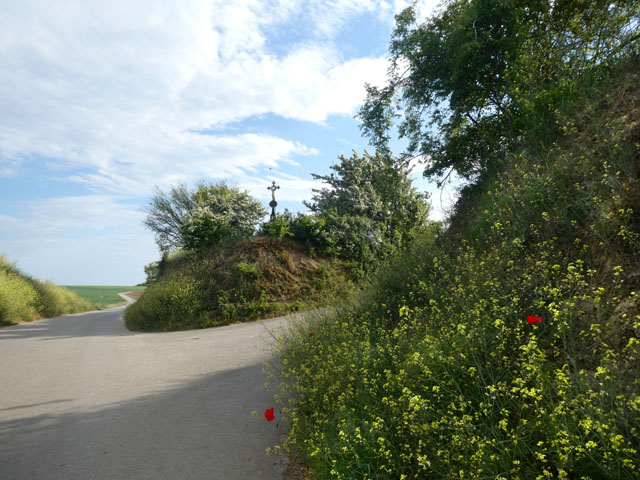 P1005307_k