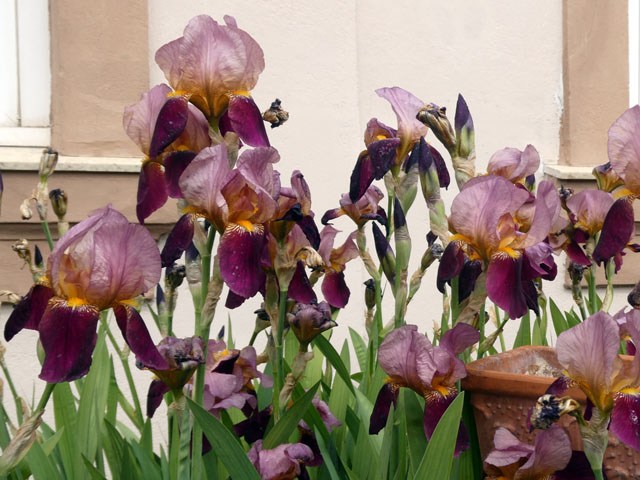 P1005329