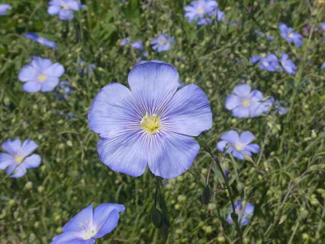 P1005766