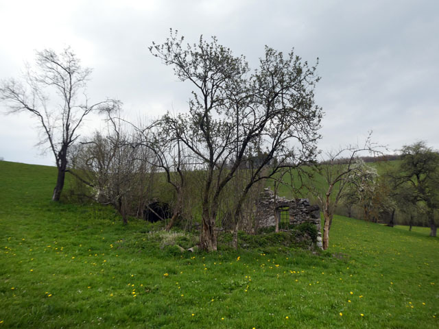 P1010758