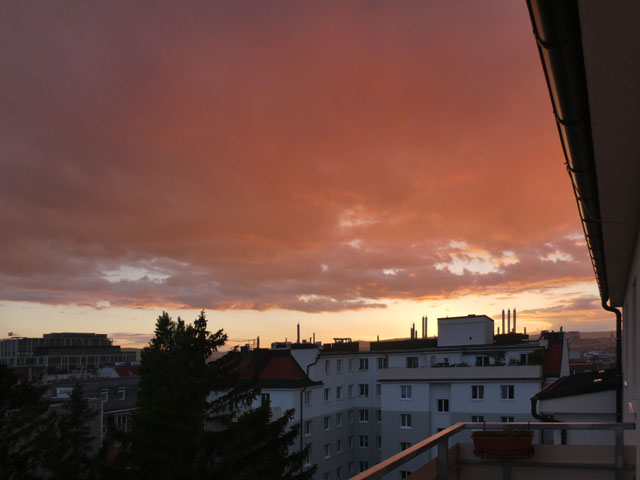 P1010953