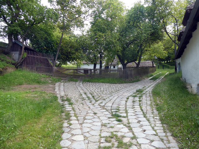 P1011002