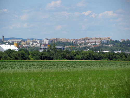 20062009 (1)