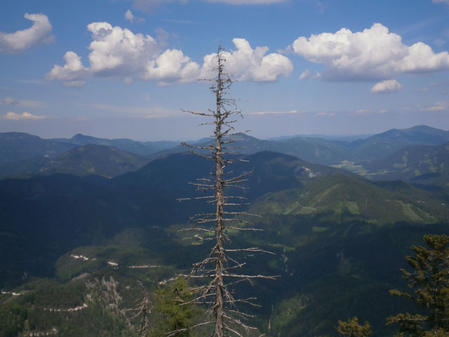P6030151