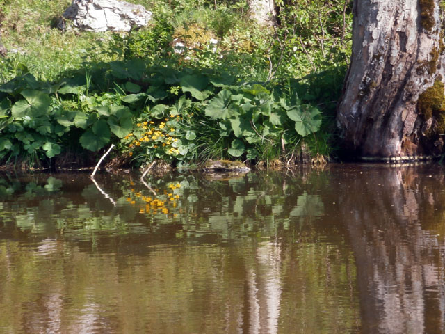 P6030171