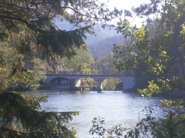 P6040221