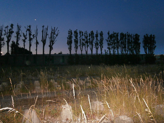 P6060008