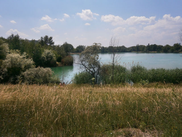 P6070023