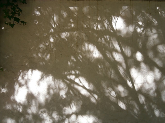 P6100154