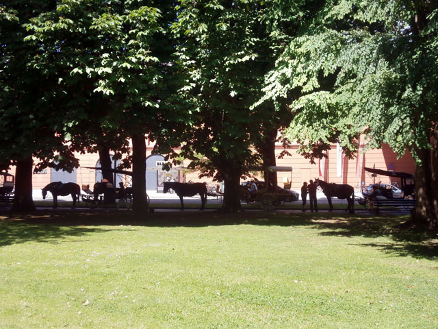 P6100155