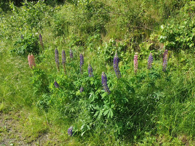P6028808
