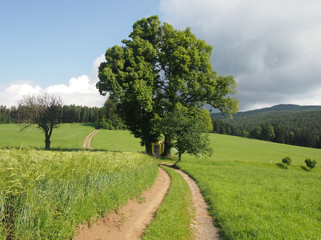 P6028811