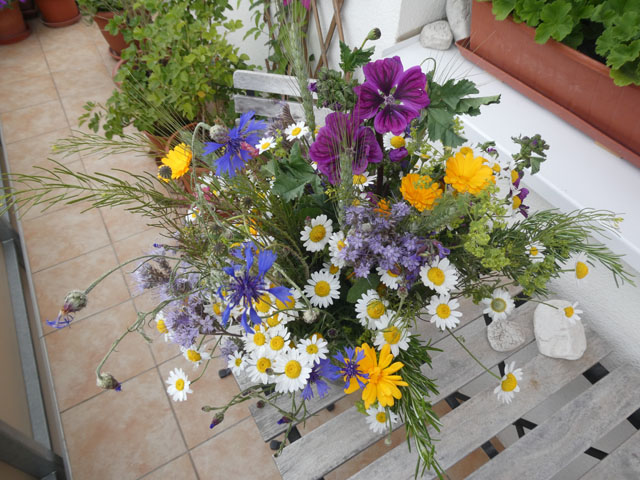 P1005906