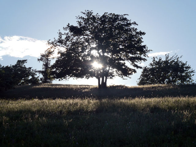 P1005941