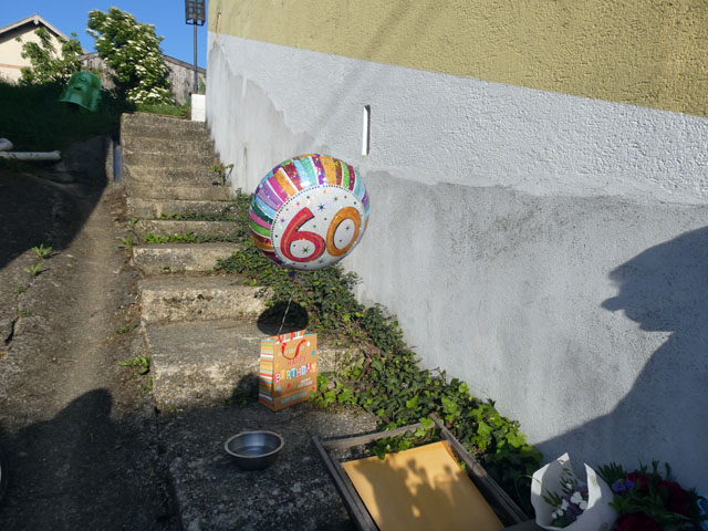 P1011091