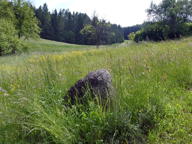 P1011107