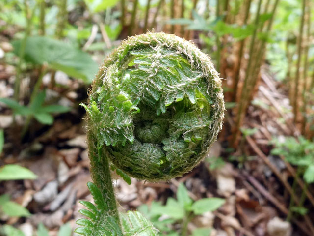 P1011211