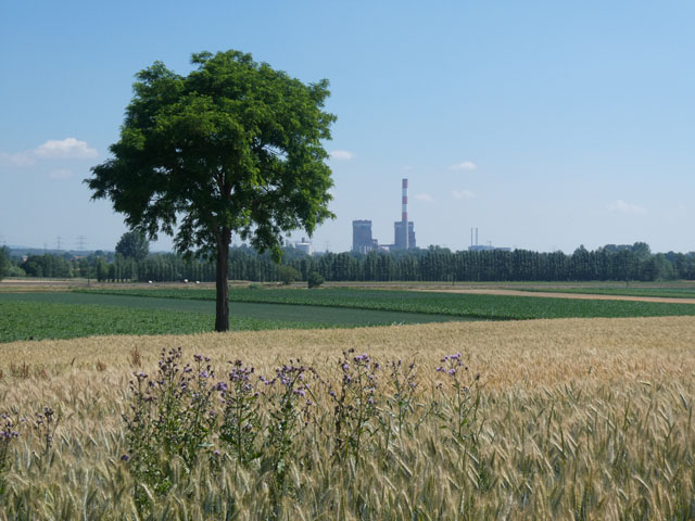 P1011566