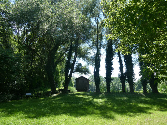 P1011613