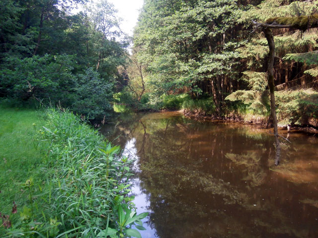 P7060093