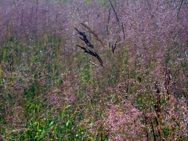 P7060096