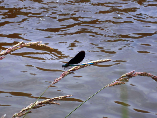 P7060114
