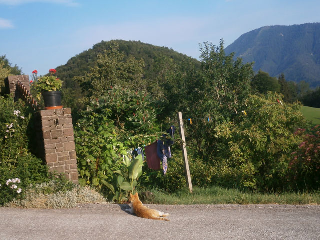 P7120035