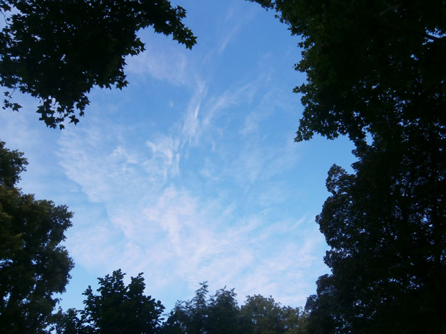 P7230018